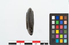 Foto von Lignitringperle (NHMW-PRAE-026264)